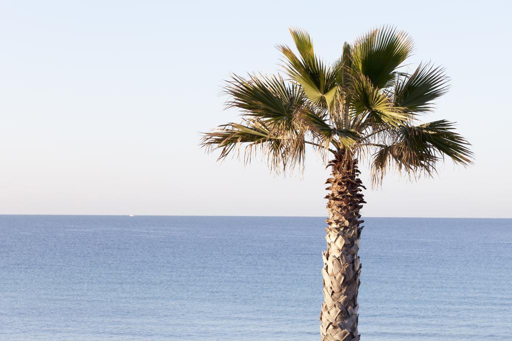 Sud Beach Hotel Fronte Mare By Ria Hotels Marina Di Pulsano Habitación foto